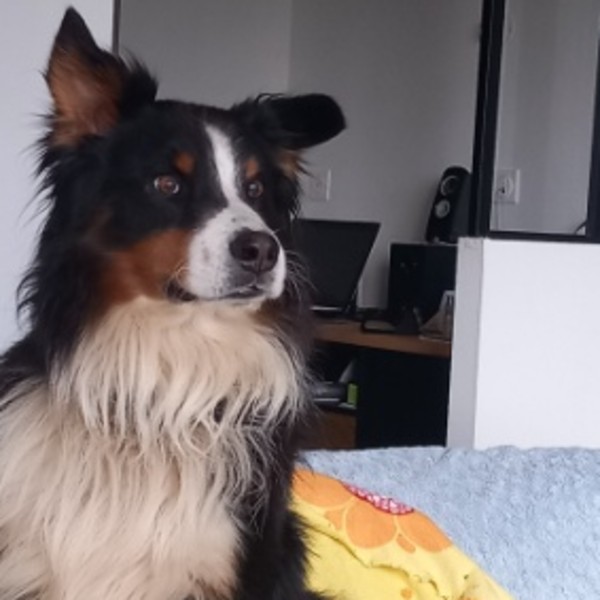 Photo de Moutik
