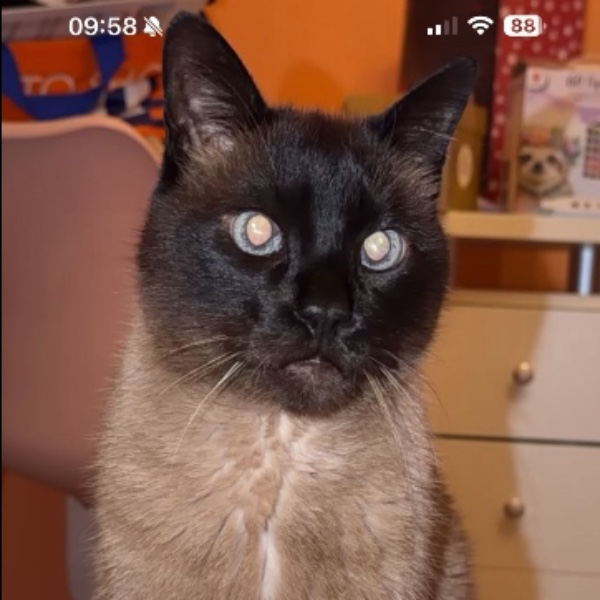 Photo de Fifi