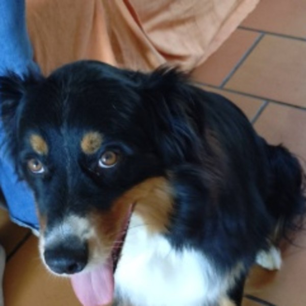 Photo de Rocky