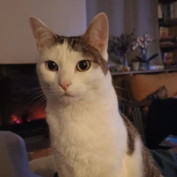 Photo de Miya