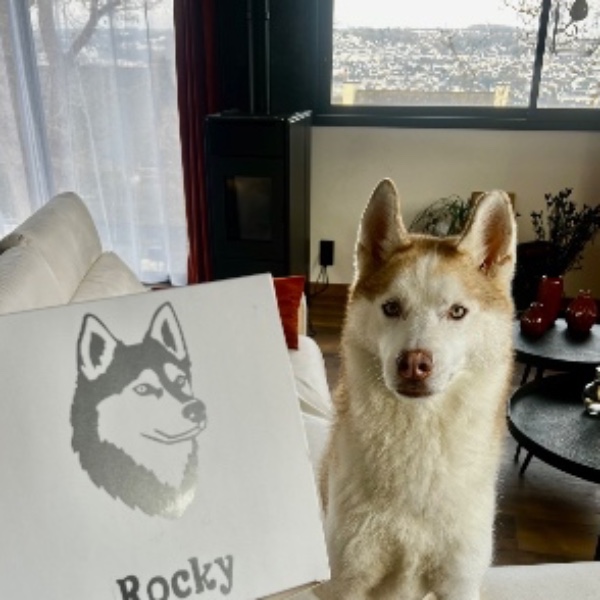 Rocky
