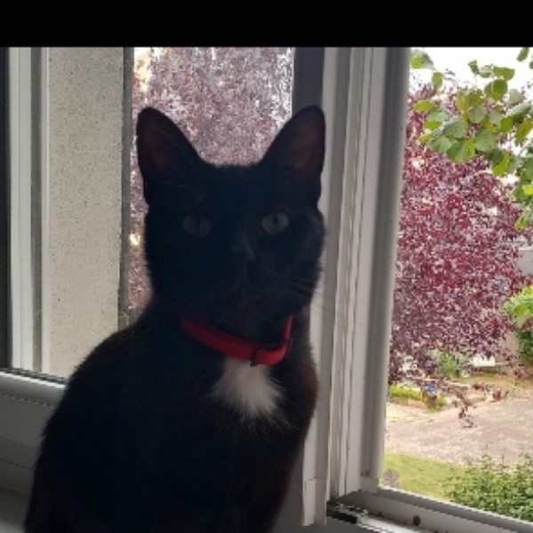 Racula