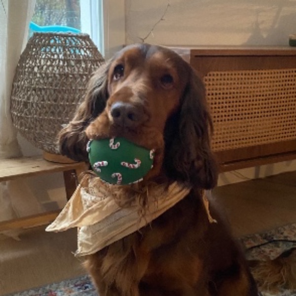 Oscar