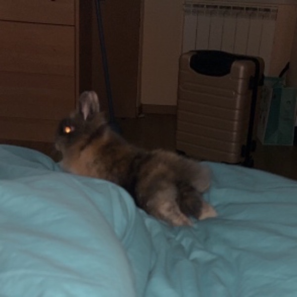 Milo