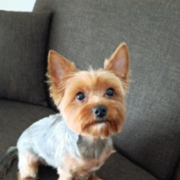 Photo de Juliette