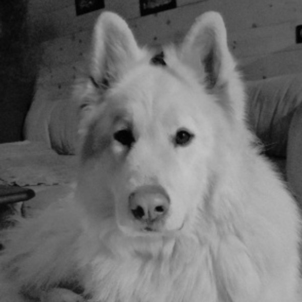 Photo de Sanka