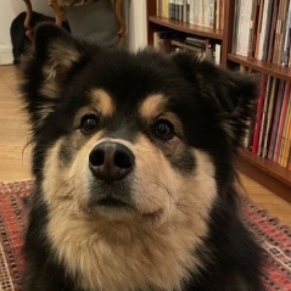Photo de Oslo
