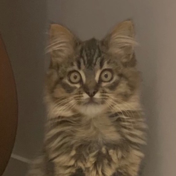 Photo de Mademoiselle Joe