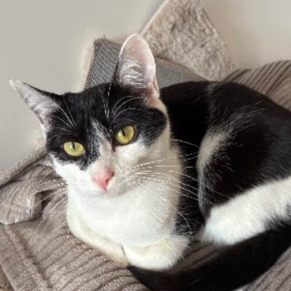 Photo de Nala