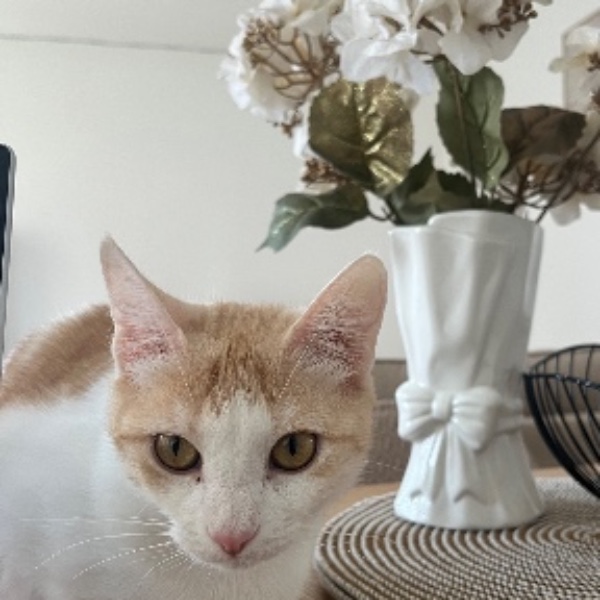 Caramel