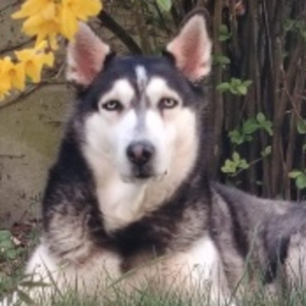 Luna