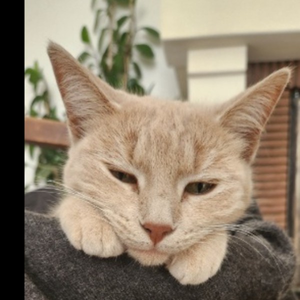 Photo de Dune