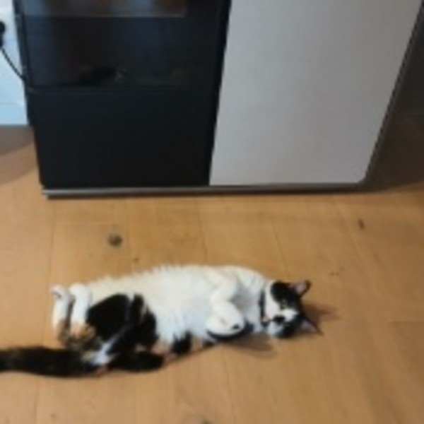 Photo de Freesby