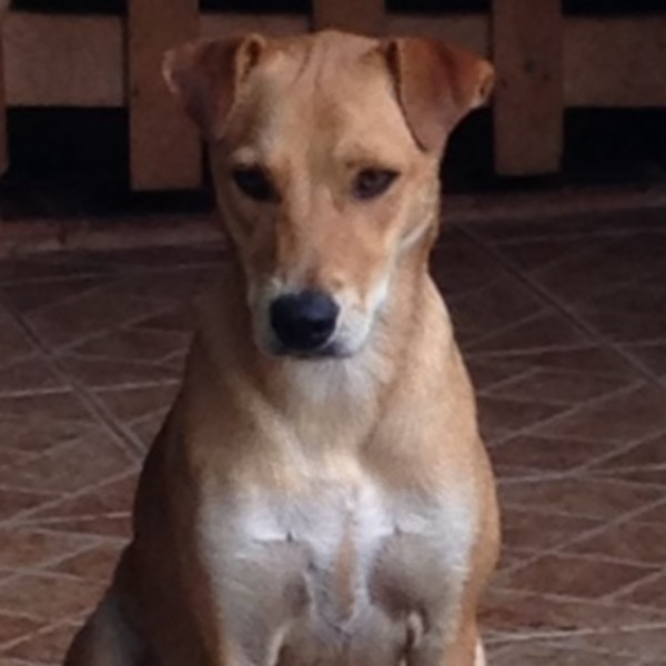 Photo de Locki
