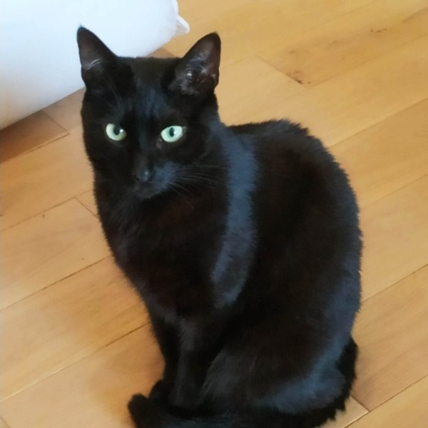 Photo de Django