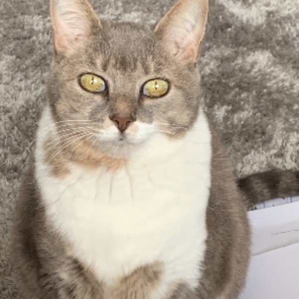 Photo de Stella