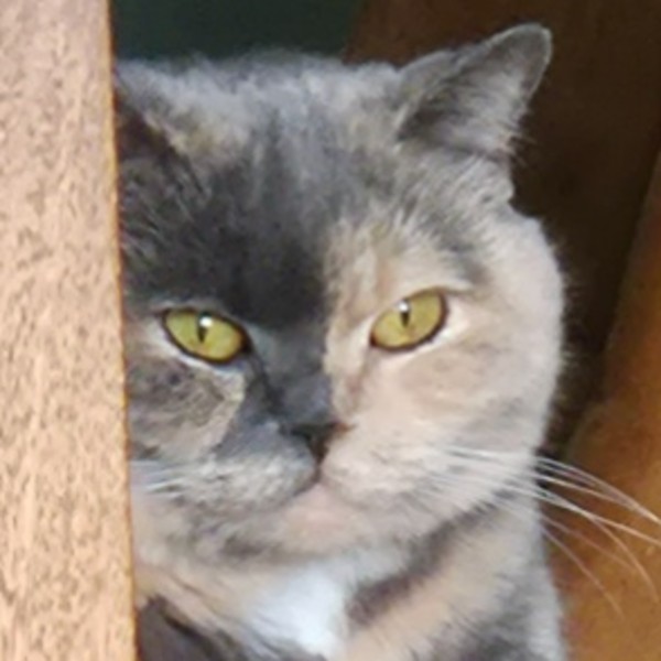 Photo de Bella