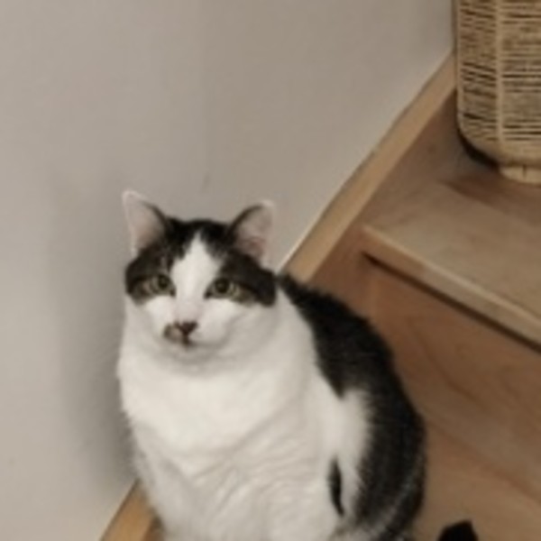Ron