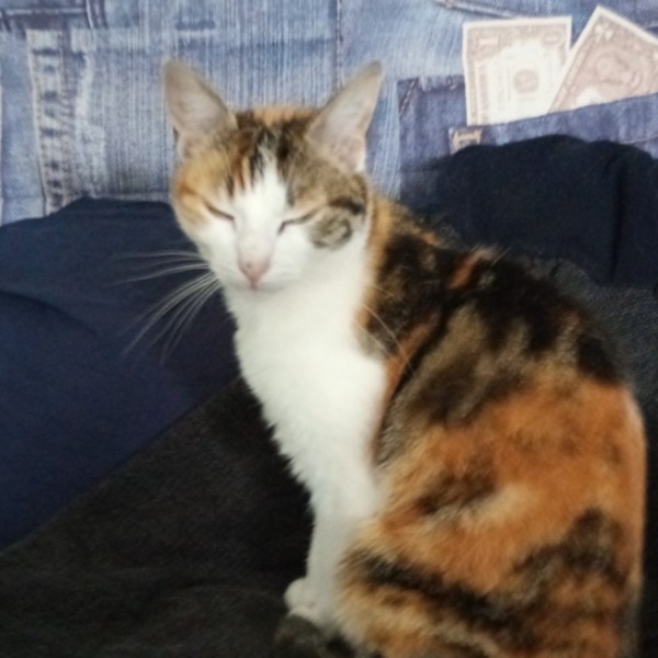 Photo de Uguette