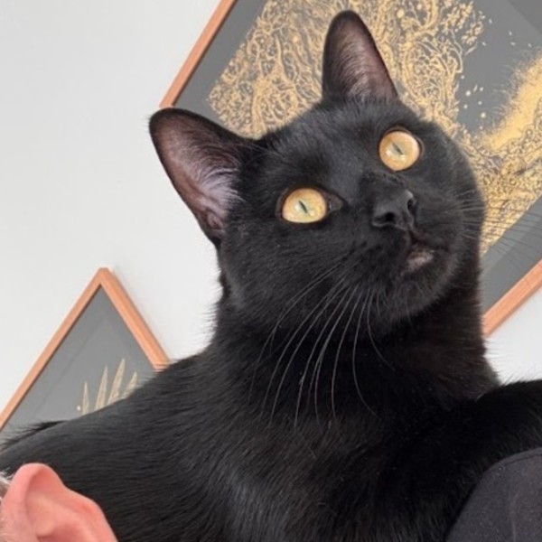 Photo de Bilbo