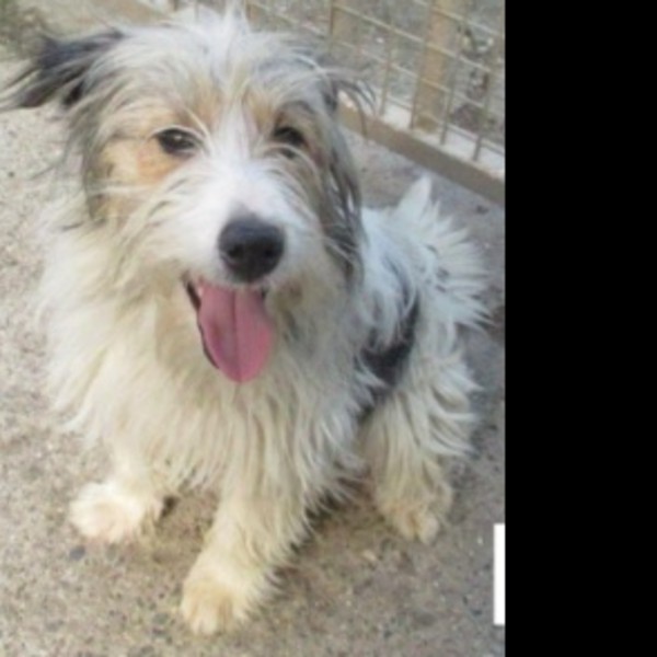 Photo de MOKI