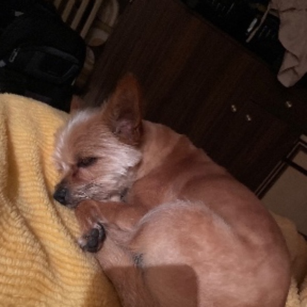 Photo de Stuart