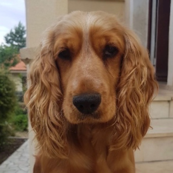 Photo de Pêche