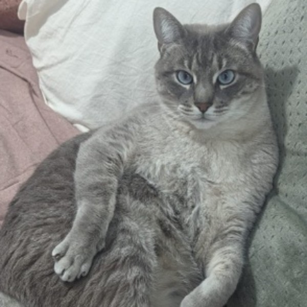 Nilo