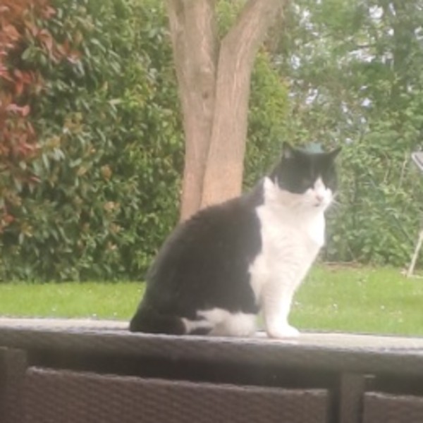 Milie