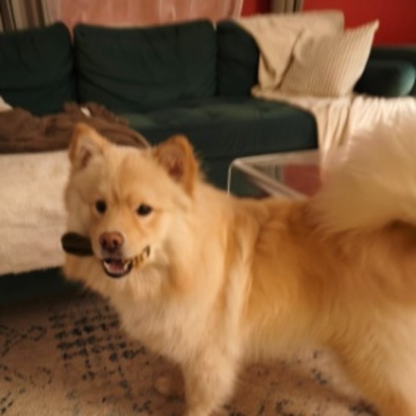 Photo de Alpha