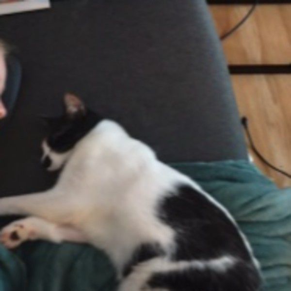 Milo