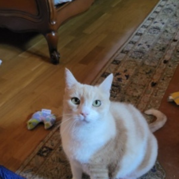 Photo de Canelle