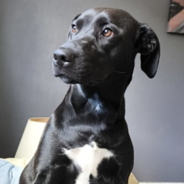 Photo de Uta