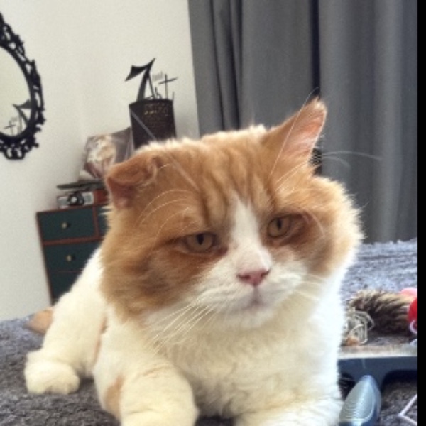 Photo de Bouboule