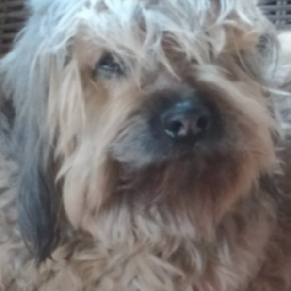 Photo de Pilouf
