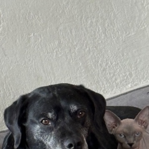 Photo de Ivar (et Chien 😅)