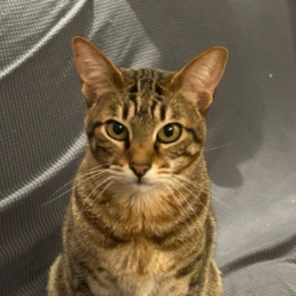 Photo de Oscar