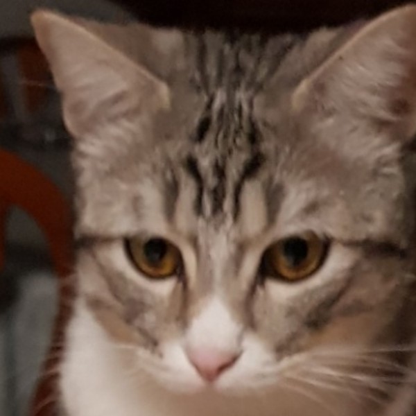 Photo de sweety