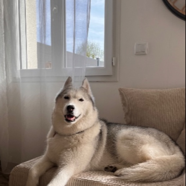 Photo de Luna