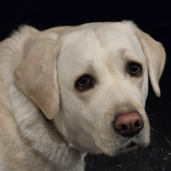 Charlie