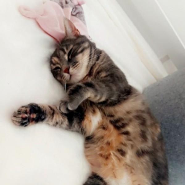 Mia