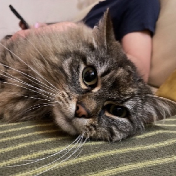Debbie