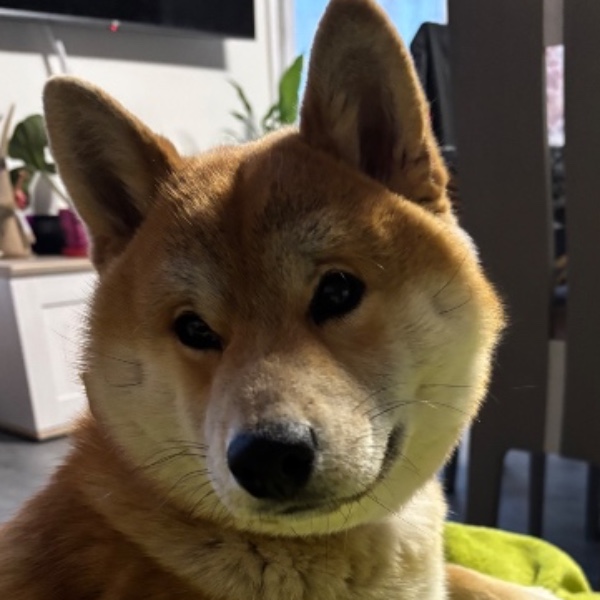 Sabaï