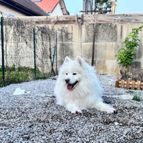 Snow aka Nunu