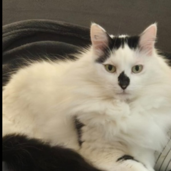 Photo de Nala
