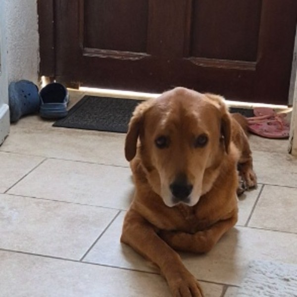 Photo de Django
