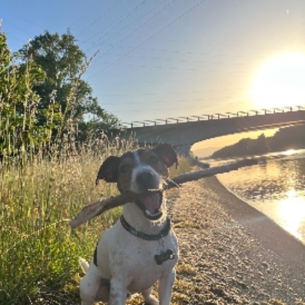 Photo de Django
