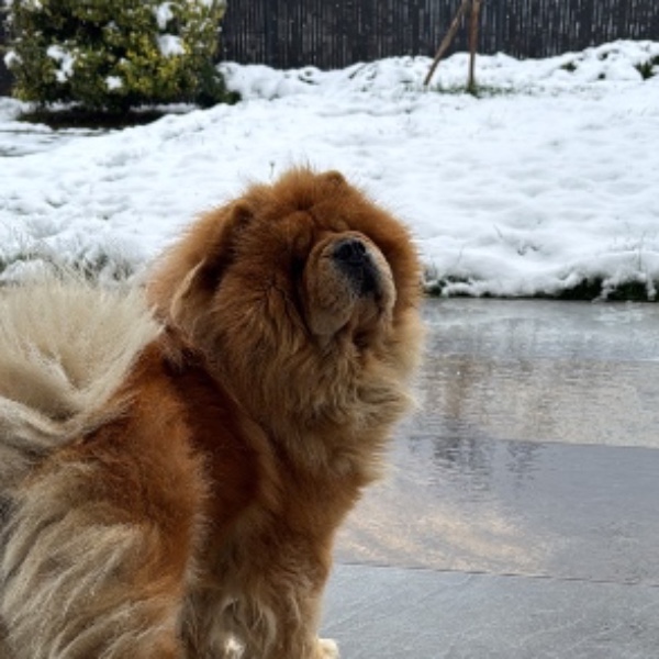 Photo de Nala Belle