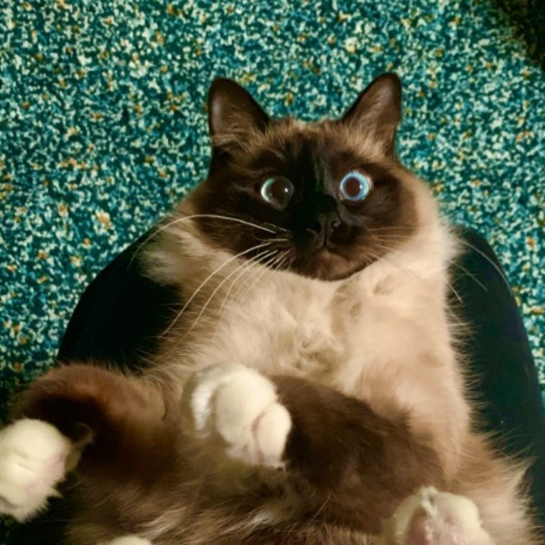 Oliver