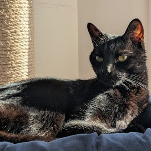 Photo de Ikki
